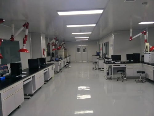 選擇河北冀安，直通一站式高端檢測(cè)與信息技術(shù)咨詢服務(wù)